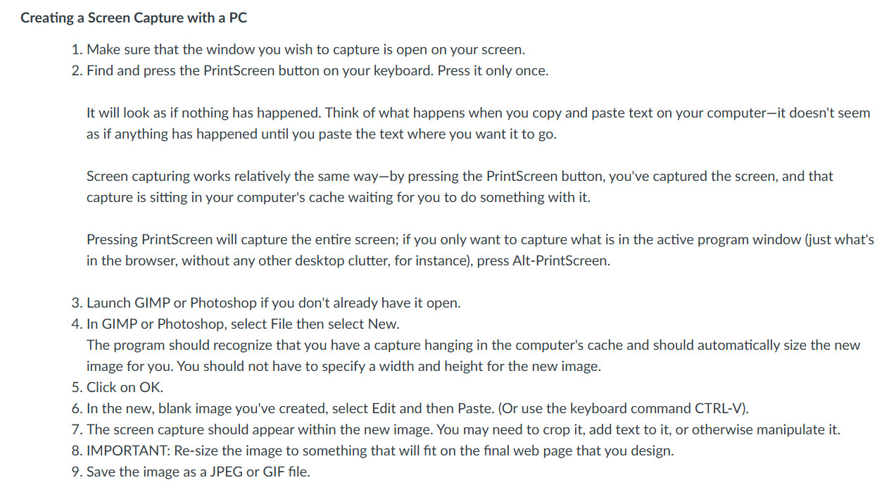 Screen capture of Canvas